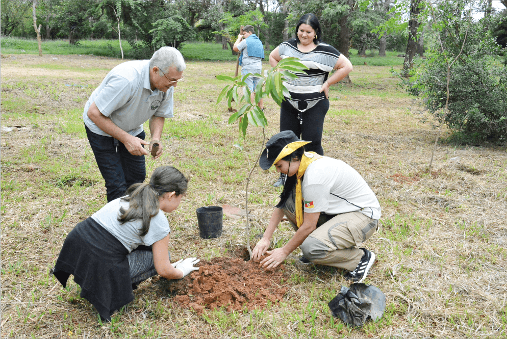 Plantio de mudas será uma das atividades realizadas pelos alunos da rede municipal. Foto: Cleusa Silva/Arquivo.