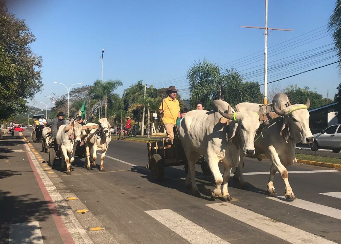 Desfile realizado no município em 2019, na Avenida Ildo Meneghetti.
Foto: Lilian Moraes