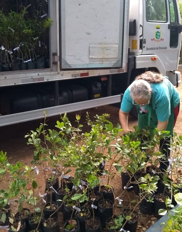 Árvores serão plantadas às margens do Arroio Sonda, no Bairro Empresa

Foto: Divulgação/Prefeitura de Taquara