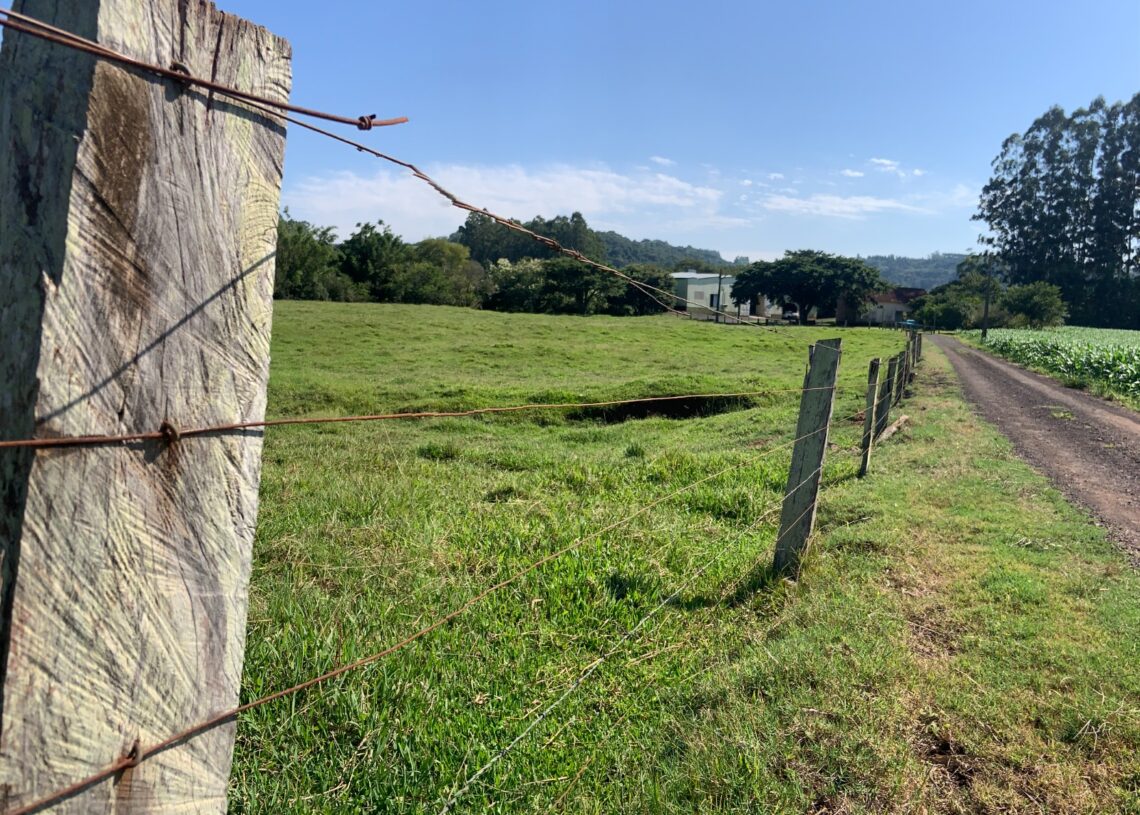 Foto: Lilian Moraes