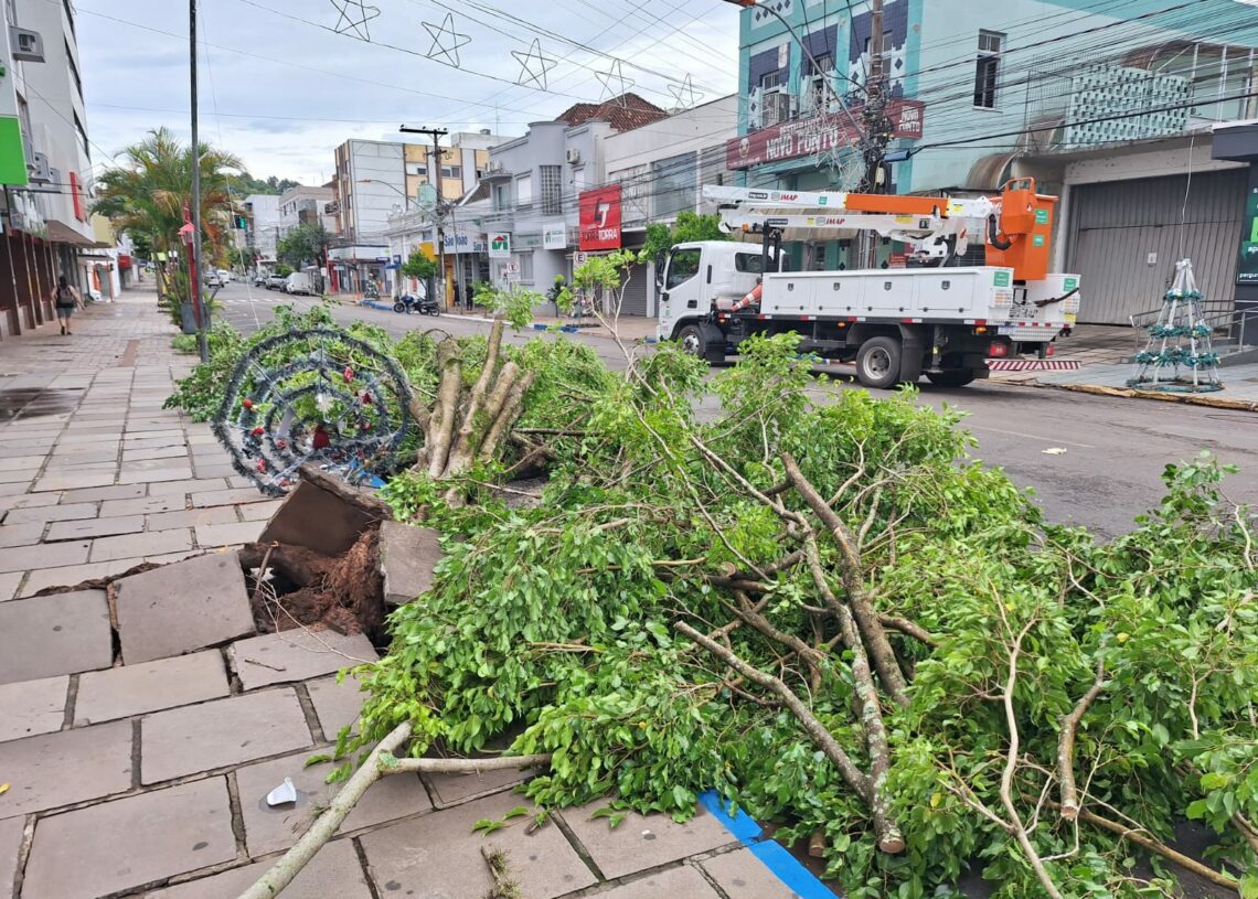 Pelo menos 70 árvores caíram com o temporal
Foto: Ruan Nascimento/Prefeitura de Taquara